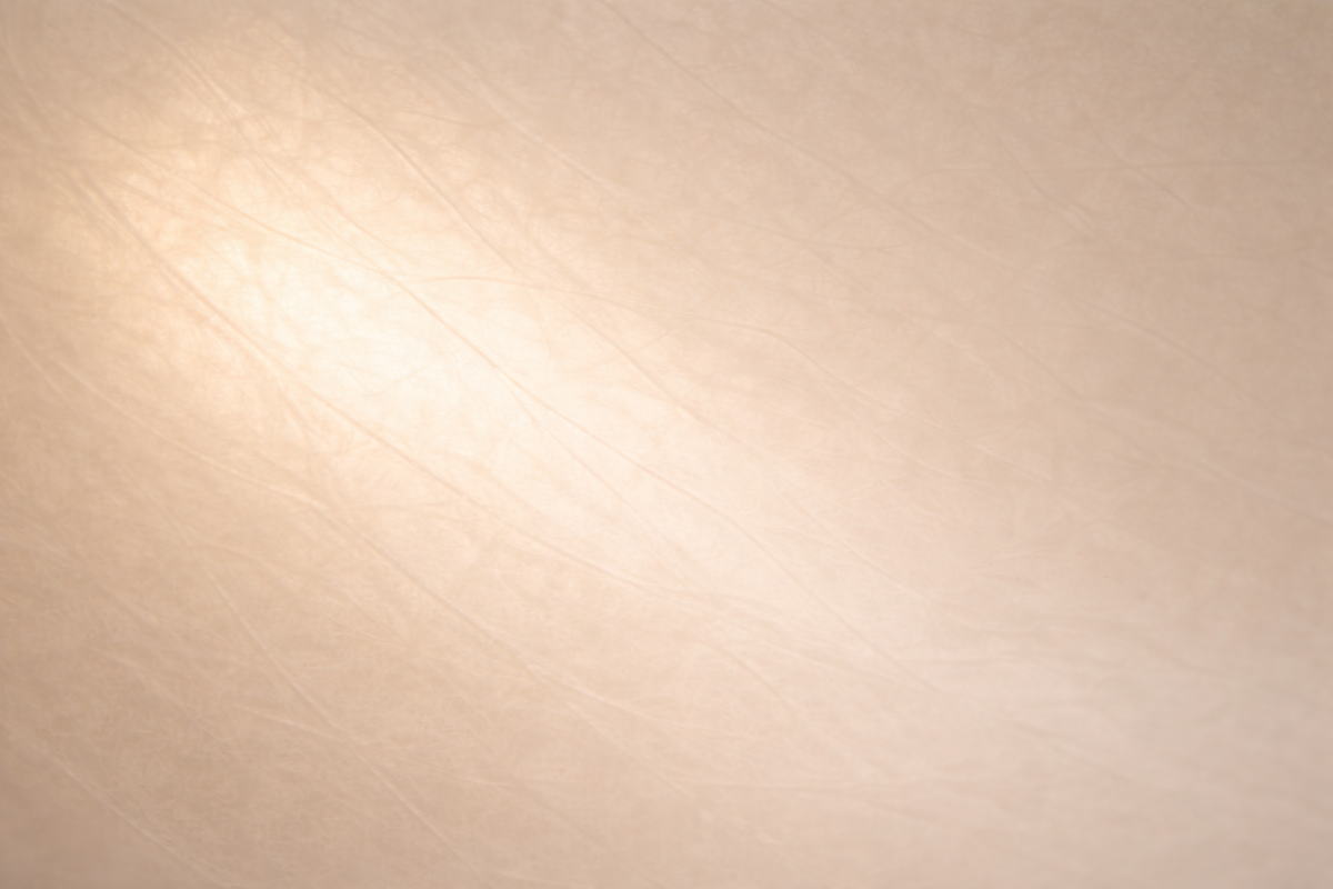 和紙を通してやわらかく広がる淡い光の抽象表現