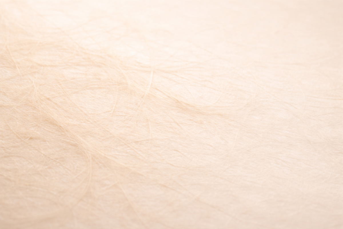 やわらかく重なった和紙のイメージ